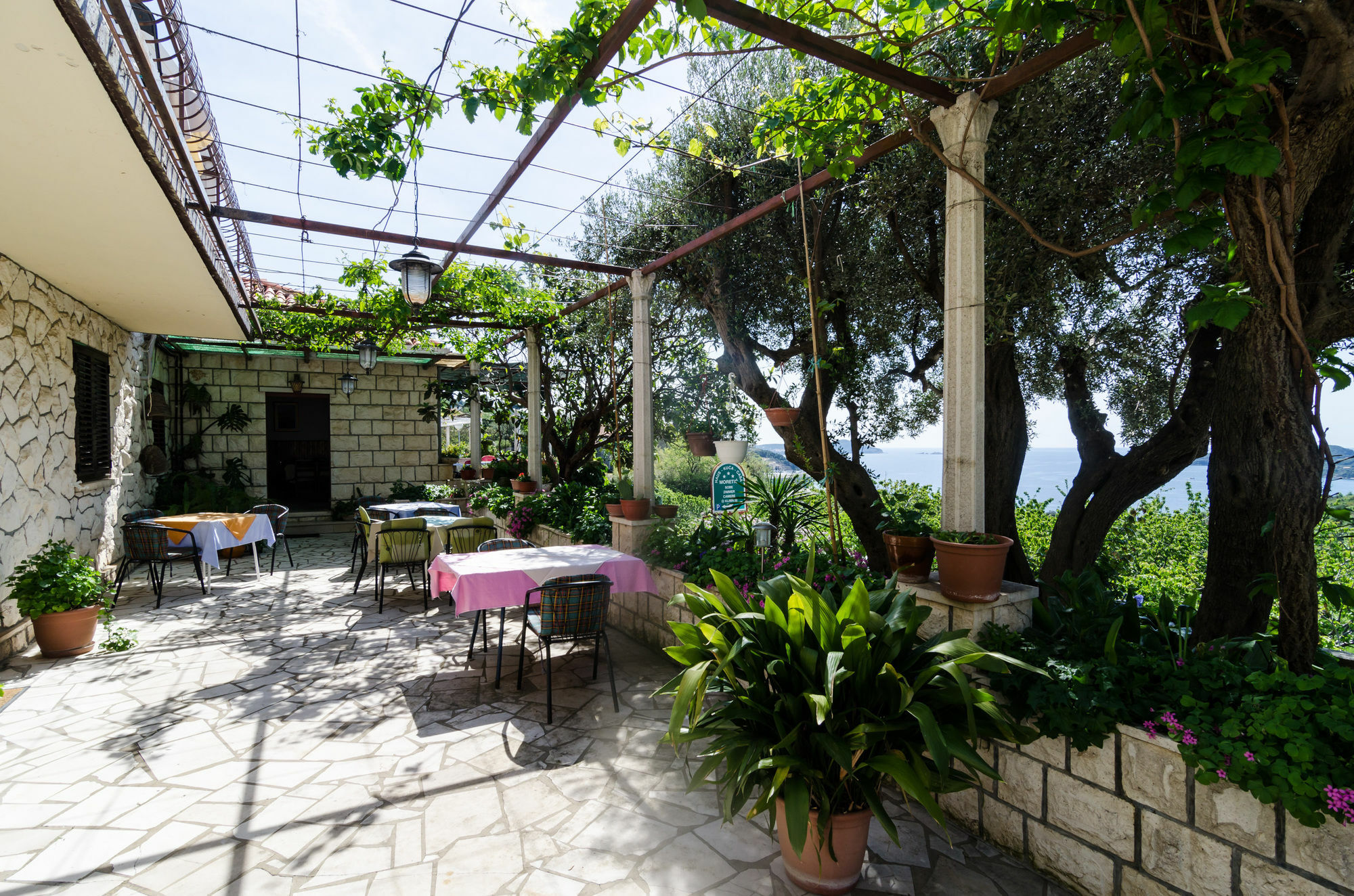 Guesthouse Moretic Orasac Ngoại thất bức ảnh